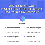 Why CREST Network Penetration Testing is Crucial for Your Organization